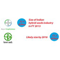 size, clients, UPI Groups
